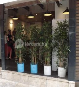 Padthai Wokbar - Bazilika