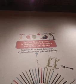 Padthai Wokbar - Egyetem tér