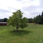 Pajta Étterem Ôriszentpéter - Külső kép