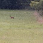 Pajta Étterem Ôriszentpéter - Külső kép