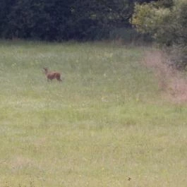 Pajta Étterem, Ôriszentpéter - Külső kép