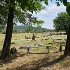 Pajta Galéria Étterem Salföld - Egyéb