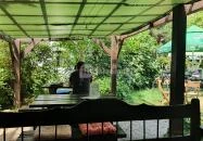 Pajta Galéria Étterem Salföld