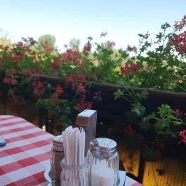 Paksi Halászcsárda, Paks - Egyéb