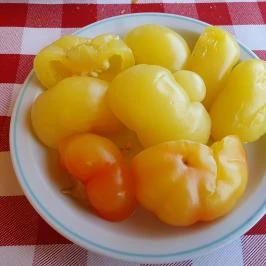 Paksi Halászcsárda, Paks - Egyéb