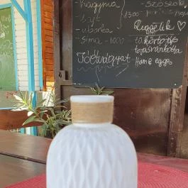 Palágó Tiszakécske - Egyéb