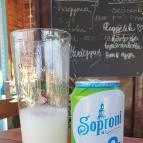 Palágó Tiszakécske - Egyéb