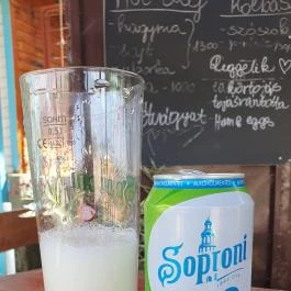 Palágó Tiszakécske - Egyéb