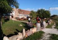 Pálffy Pince Köveskál