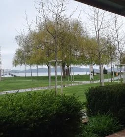 Pali Bácsi Borozója