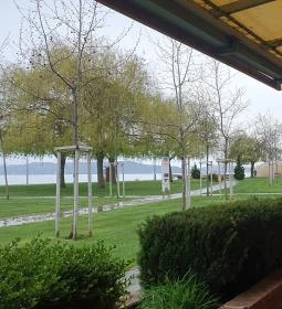 Pali Bácsi Borozója