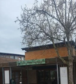 Pali Bácsi Borozója