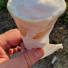 Pálma Fagyizó, Fót - Egyéb