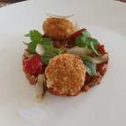 Pálmaház Tura - Egyéb