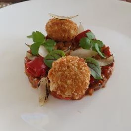 Pálmaház Tura - Egyéb