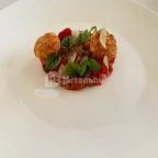 Pálmaház Tura - Egyéb