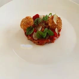 Pálmaház Tura - Egyéb