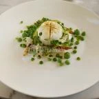 Pálmaház Tura - Egyéb