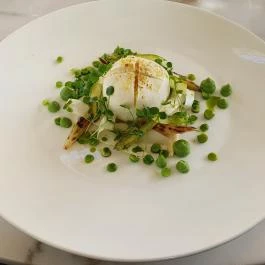 Pálmaház Tura - Egyéb