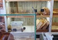 Panero Pékség & Bisztró Debrecen