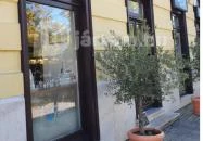 Panificio il Basilico Debrecen Debrecen