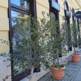 Panificio il Basilico Debrecen Debrecen - Egyéb