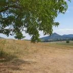 Papillon Gyulakeszi - Egyéb