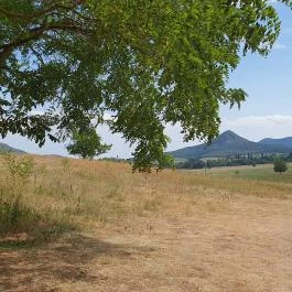 Papillon Gyulakeszi - Egyéb