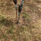 Papillon Gyulakeszi - Egyéb