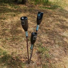 Papillon Gyulakeszi - Egyéb