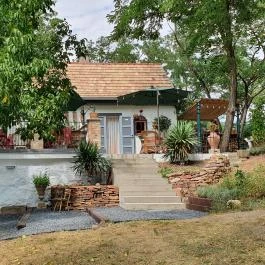 Papillon Gyulakeszi - Egyéb