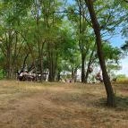 Papillon Gyulakeszi - Egyéb