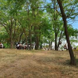 Papillon Gyulakeszi - Egyéb