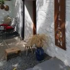 Papillon Gyulakeszi - Egyéb