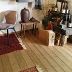 Papillon Gyulakeszi - Egyéb