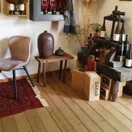 Papillon Gyulakeszi - Egyéb