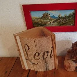 Papillon Gyulakeszi - Egyéb