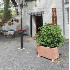 Papillon Gyulakeszi - Egyéb