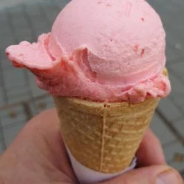 Papp Fagyizó Makó - Egyéb