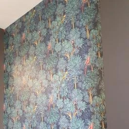 Papp Kávézó Makó - Egyéb