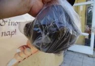 Papp Pékség Mezőkövesd