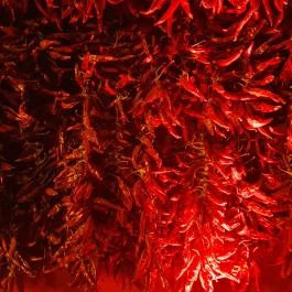 Paprika Revue House, Budapest - Egyéb