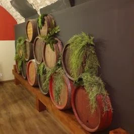 Paprika Revue House, Budapest - Egyéb