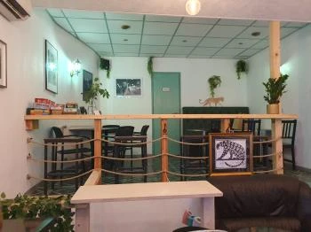 Párduc Bár Budapest Párduc Bár Budapest