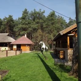 Paripa Csárda Debrecen - Külső kép