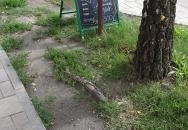 Park Borozó Kiskunmajsa