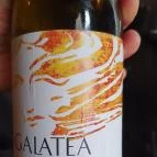 Parlé Budapest - Egyéb