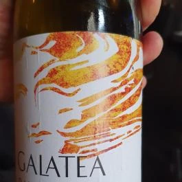 Parlé, Budapest - Egyéb