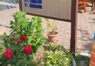 Parti Büfé Zamárdi