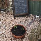 Patkó Kocsma Kapuvár - Egyéb